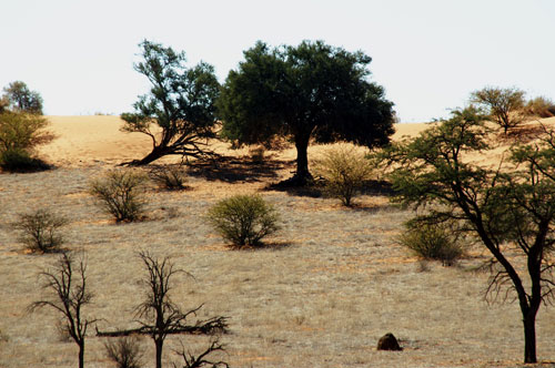 namibia-10.jpg